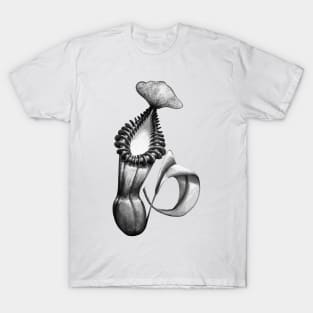 Botanical Carnivorous Plant Drawing Nepenthes Edwardsiana Pitcher T-Shirt